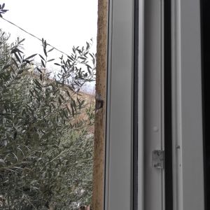 Esempio dalla galleria fotografica di DTEK DI DARIO D’ELIA: Posa di serramenti tapparelle cassonetti e zanzariere e porta d'entrata in alluminio, cantiere di Monfalcone